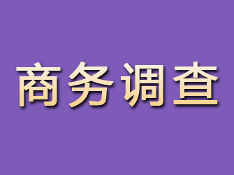 涉县商务调查